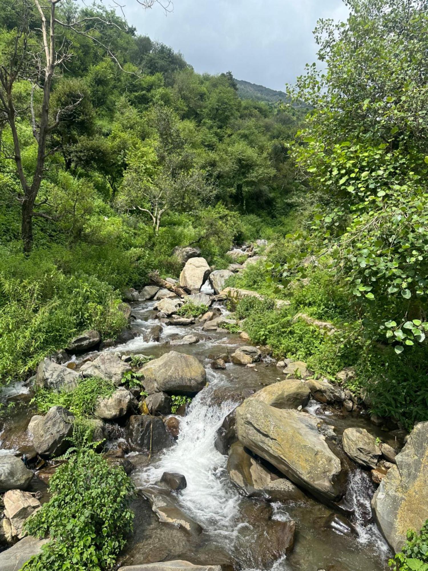 Deodar Village Homestay Devalsari Mussoorie Exterior foto